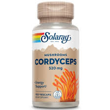 Cordyceps 520mg 100 cps